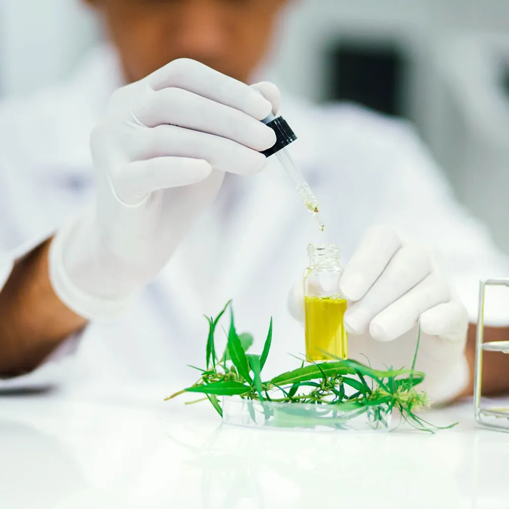 Cannabis Testing Training (Thin Layer Chromatography) - Certification Course